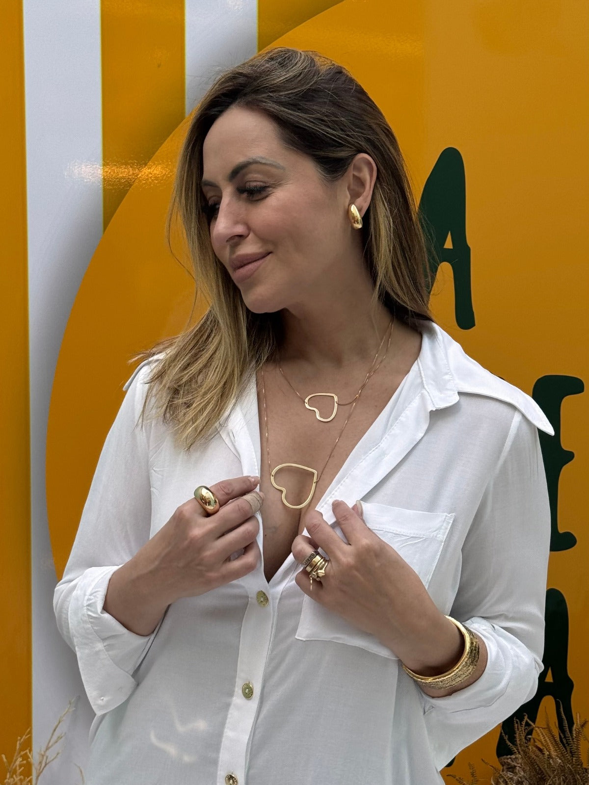 Colar Duplo Coração Semi Joia